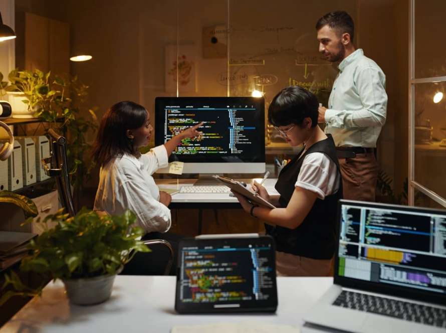 Developers Working on Code